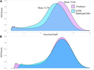 Using whole genome sequence to compare variant callers and breed differences of US sheep